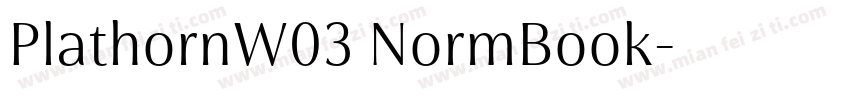 PlathornW03 NormBook字体转换